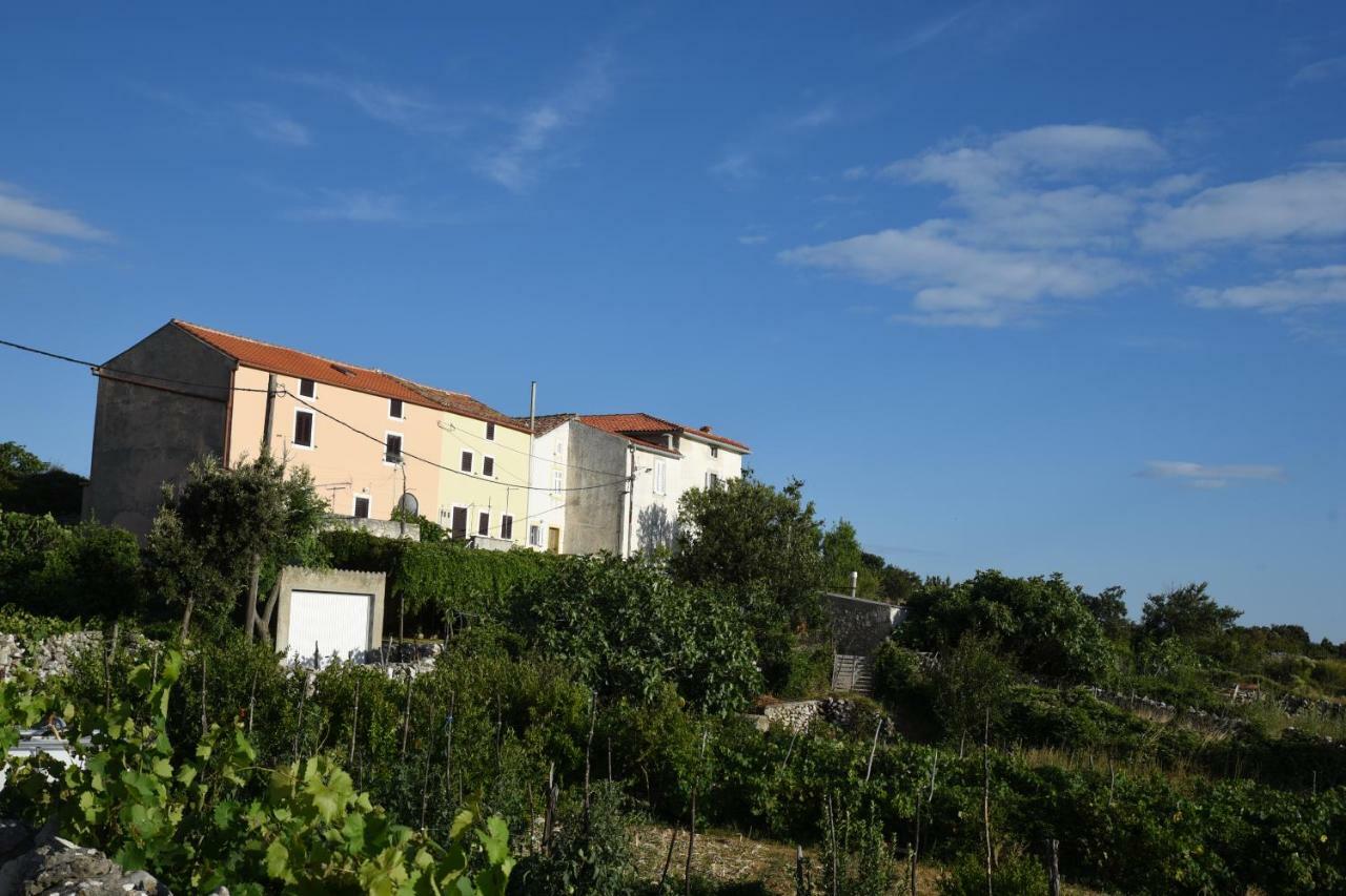 Accommodation Lily Vrana  Buitenkant foto